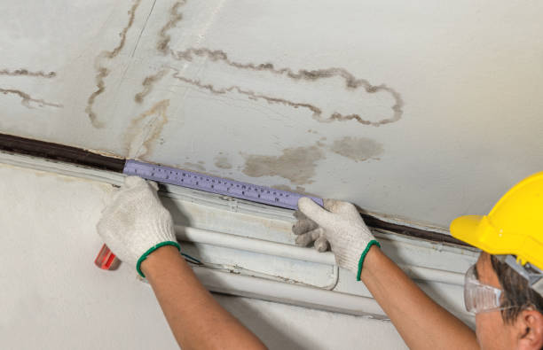 Reliable Mold Remediation contractor in Brooklyn, MS by Water Damage Irwin